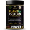 Plant Protein