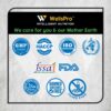 iso whey gold